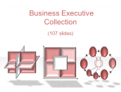 Business Executive Collection